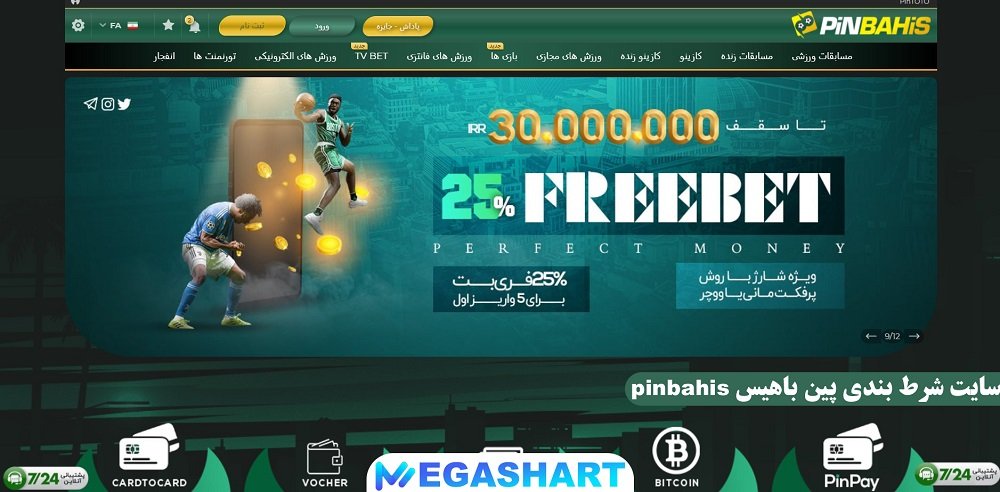 سایت شرط بندی پین باهیس pinbahis