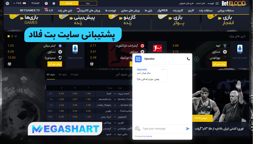 پشتیبانی سایت بت فلاد