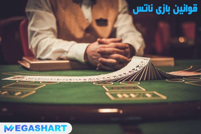 قوانین بازی ناتس