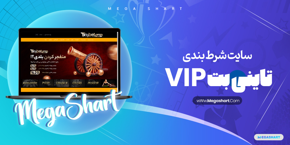 کلاهبرداری تاینی بت Vip