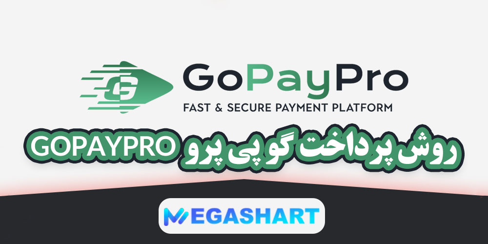 روش پرداخت گو پی پرو GoPayPro