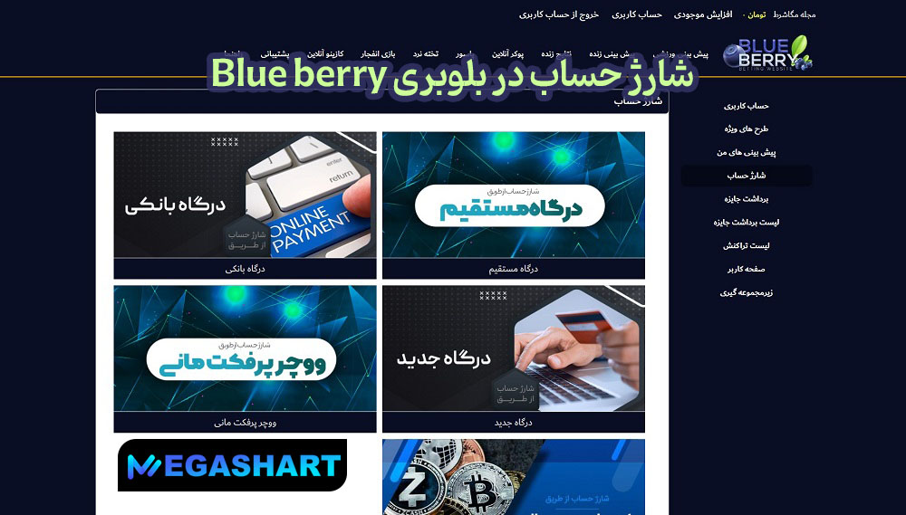 شارژ حساب در بلوبری Blue berry