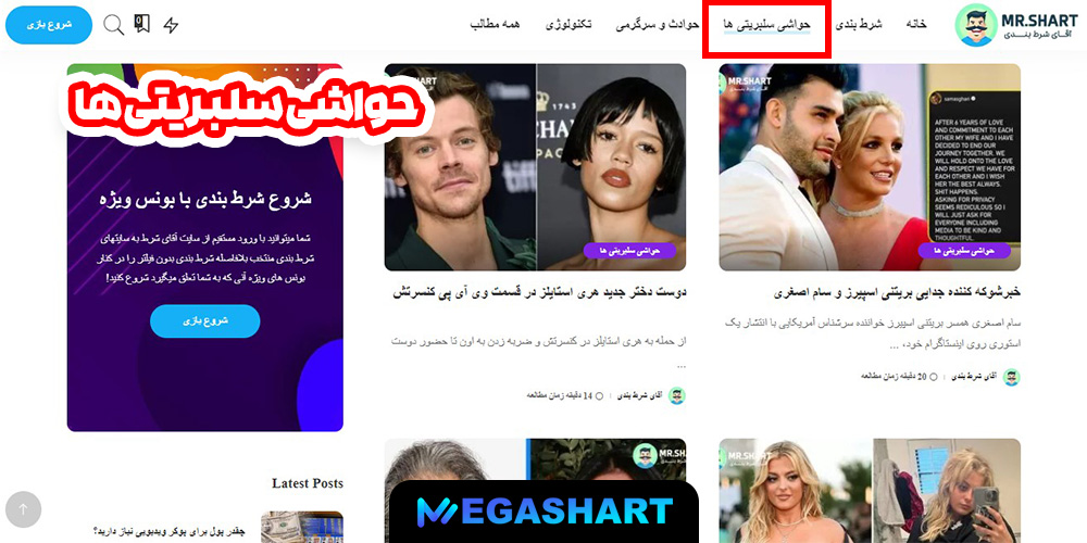 حواشی سلبریتی ها