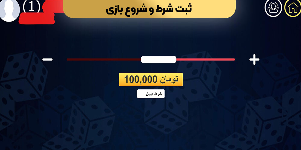 ثبت شرط و شروع بازی